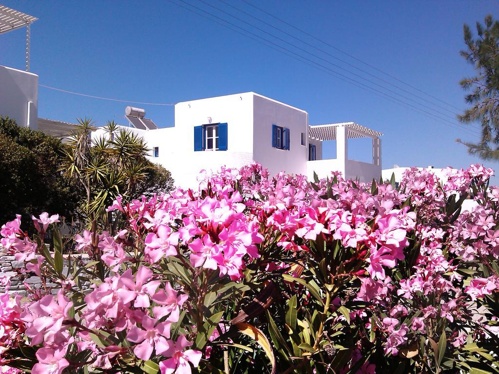 Nicos Studios & Apartments Logaras Esterno foto