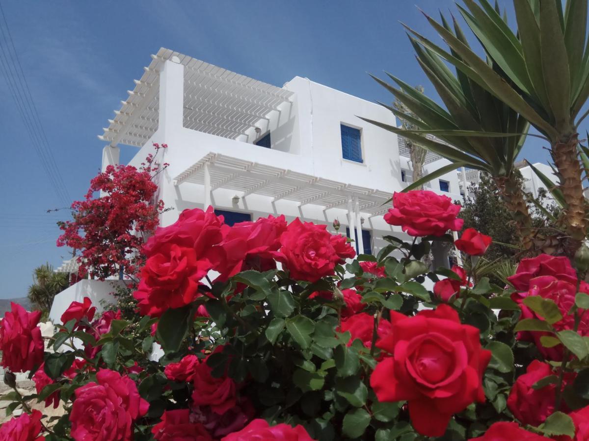 Nicos Studios & Apartments Logaras Esterno foto